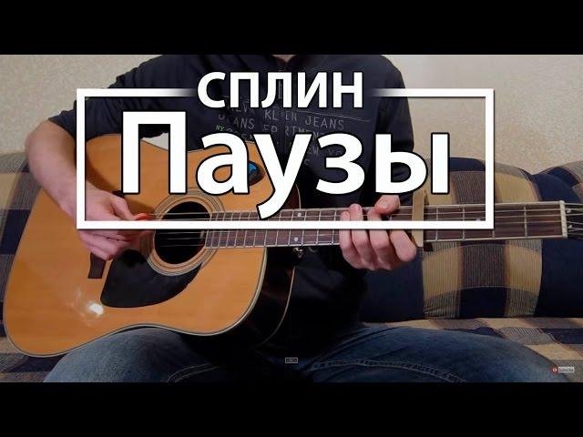 Как играть "Паузы" - Сплин (Разбор для гитары, Аккорды, Табы, видеоурок Сплин)