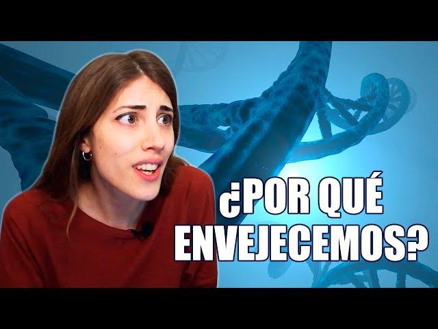 ¿Por qué ENVEJECEMOS? | La Hiperactina