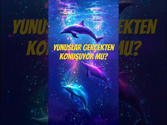 Yunuslar Birbirine İsim Takıyor… Gerçek mi Bu? #yunus #deniz #kişiselgelişim #bilim #egiticivideo