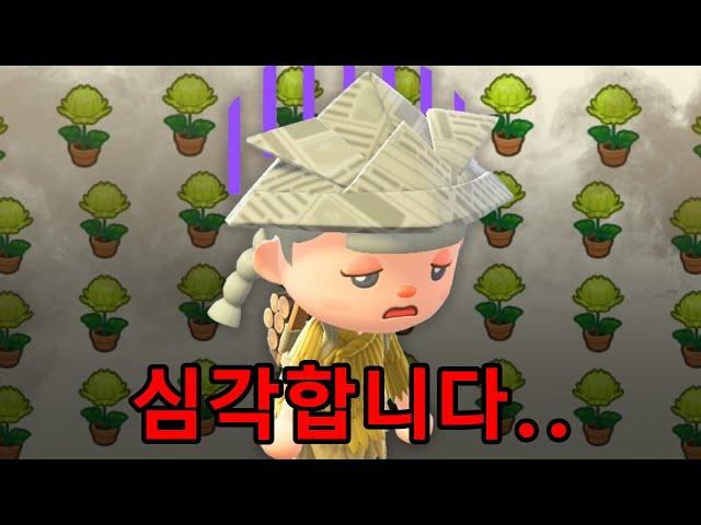 섬 3개가 전부 꽃 무덤이 됐습니다. 바로 청소 들어갈게요