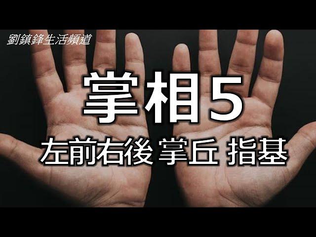 掌相5 掌丘 指基 左先右後 (開啟字幕) ｜西洋掌丘 木星 土星 火星 太陽 水星 金星 太陰 | 劉鎮鋒生活頻道