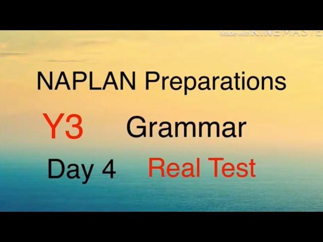 NAPLAN Preparations Year 3 Grammar Day 4 - Types of sentences and articles for Real Test