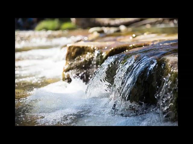 Beautiful Sound River Flows in you | Extended Version#riversounds#naturesounds#2024trending#relaxing