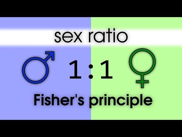 Sex ratio. Fisher's principle. Evolutionarily stable strategy