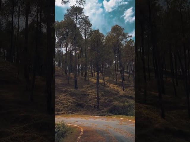 Valley of monsoon #mountain #nature #roadview #rideview #monsoon