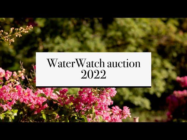 WaterWatch 20th Annual Celebration of Oregon Rivers