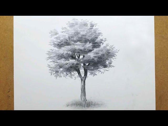 How to draw a tree easily/sketch/how to draw a tree