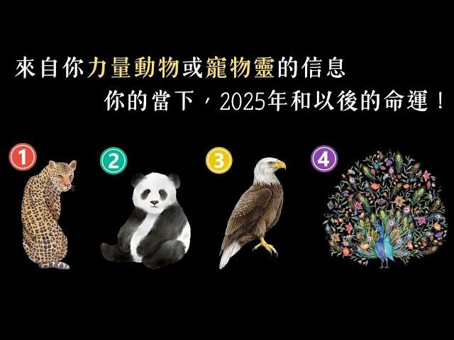 塔羅占卜：來自你力量動物/寵物靈的信息，你的當下，2025年和以後的命運！（🈚 時間限制）