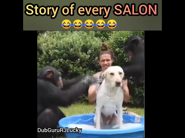 Everytime in SALON 