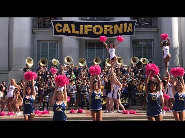 UC Berkeley Campus  Walking Tour: Silicon Valley Universities Guided Tours