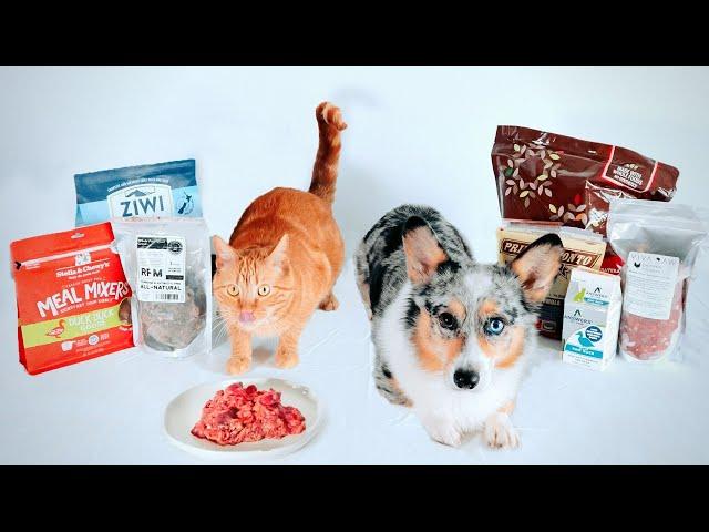 7 Premade RAW Pet Food Reviews (Nutritional Details)