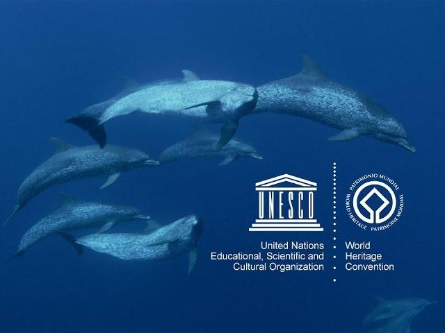 UNESCO’s Marine World Heritage