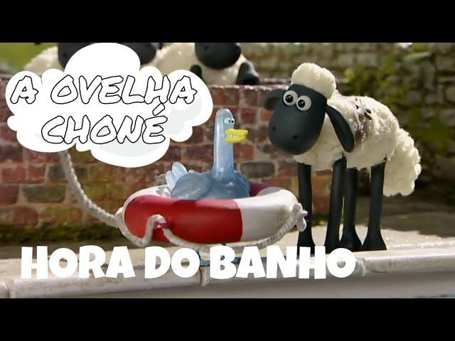 Hora do Banho | 1° temporada EP 2 | A Ovelha Choné em Português-Portugal