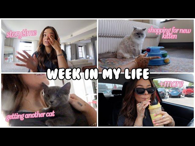 WEEK IN MY LIFE | STORYTIME: what really happened to Travis, looking at kittens + more