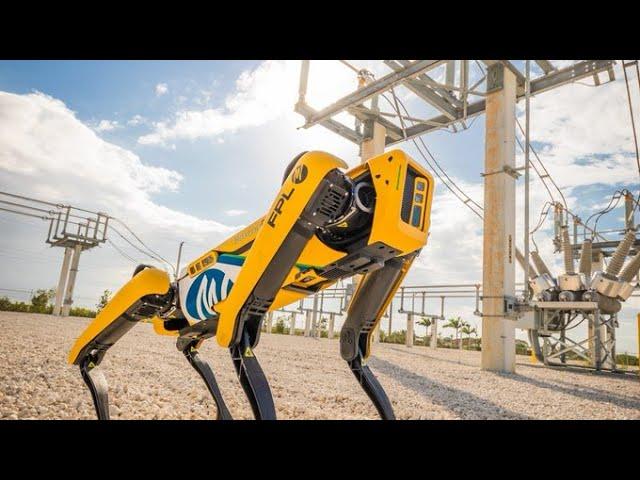 This four-legged Robot works on an oil platform Dieser vierbeinige Roboter arbeitet auf einer Ölpla