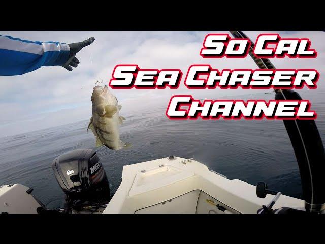 TRAILER: So Cal Sea Chaser Channel