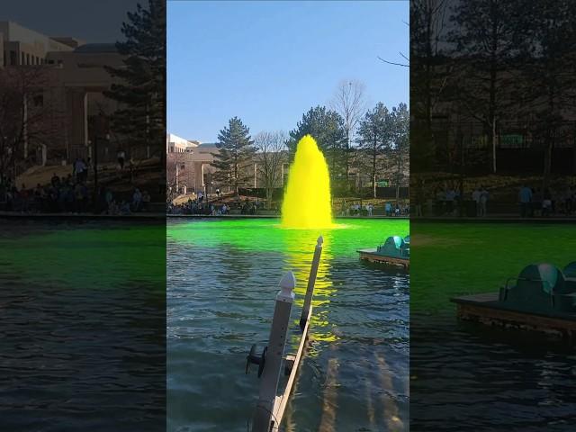 Greening of the Canal in Indianapolis  #indy #stpatricksday #indianapolis