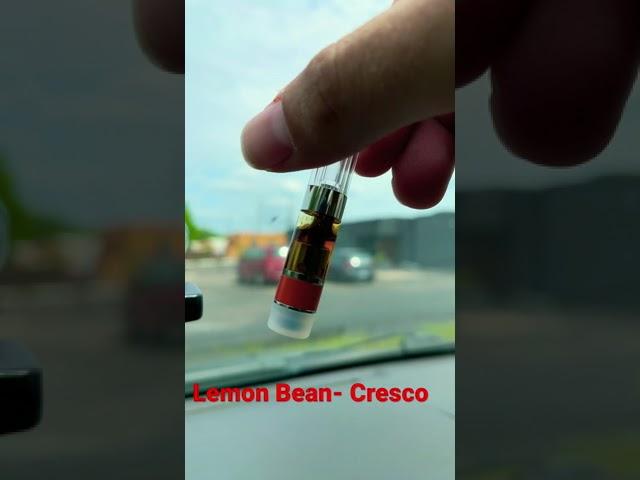 Lemon Bean- Cresco