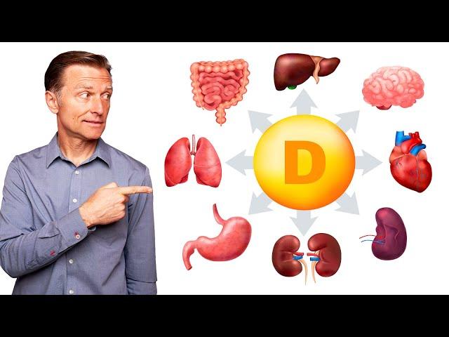 How Vitamin D Affects Every Organ and Tissue