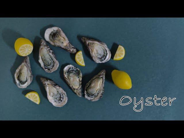 Miniature Oyster  | Polymer Clay Miniature Food Tutorial //迷你牡蛎/生蚝 | 软陶微缩食物教程（粘土）