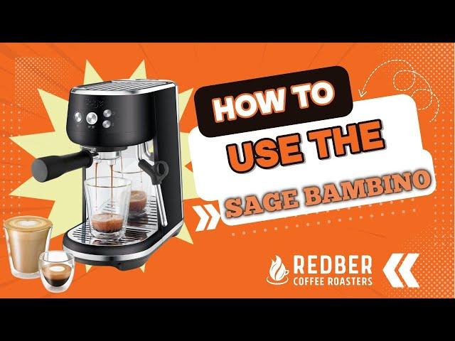 How to Use the Sage Bambino (Quick & Easy Guide) I REDBER COFFEE