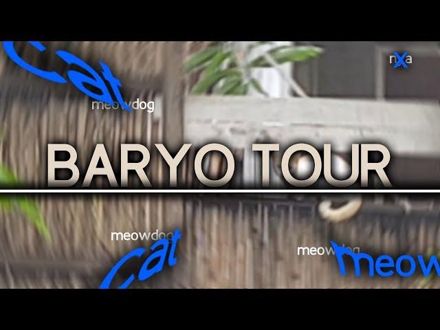 doggos n catS - BARYO TOUR