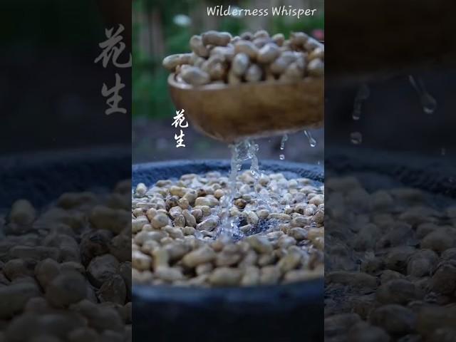 The Soul of a Peanut: A Five-Month Journey Through Ancient Traditions #shorts #shortsfeed #culture