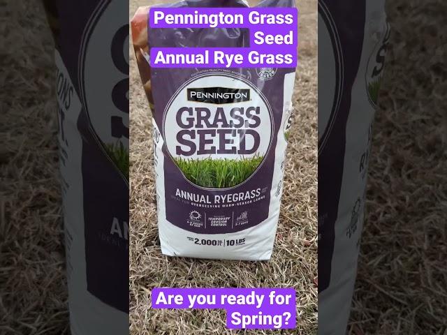 Pennington Annual Rye Grass @PenningtonGrassSeed