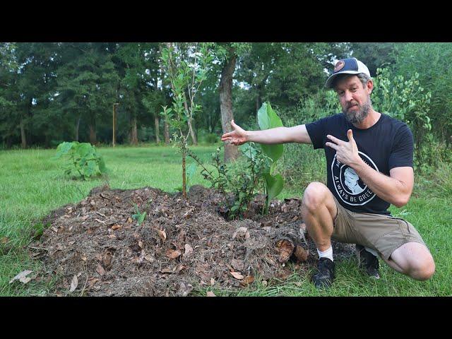 How To Create Your Own Food Forest Island
