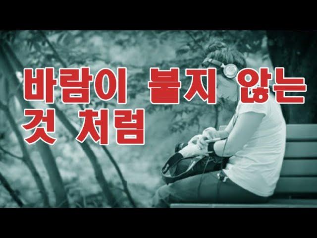 바람이 불지 않는 것 처럼 [가사] 10회 연속듣기