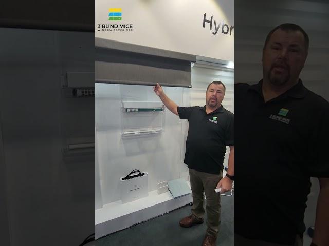 New Hybrid Motion Shade by Helio – Fast, Quiet, and Cordless! | 3 Blind Mice Window Coverings