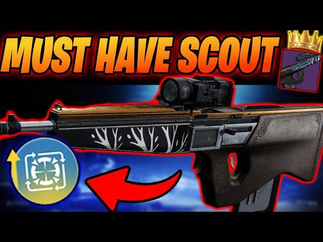Nature Reclaimed IS ONE OF THE BEST SCOUTS IN THE GAME (Destiny 2)