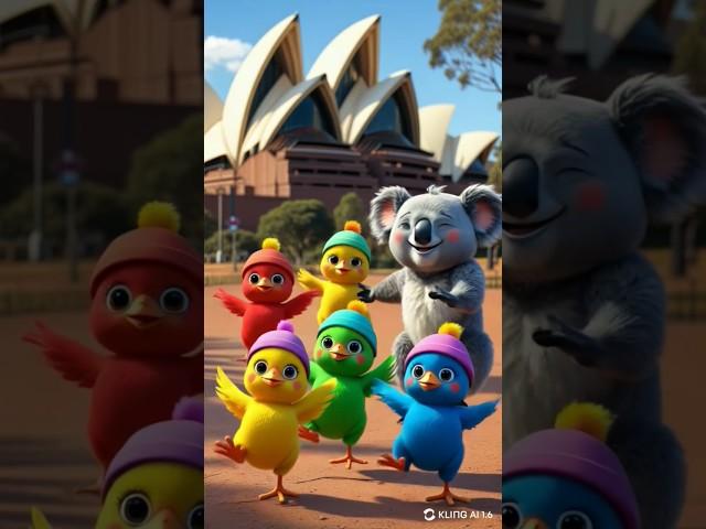 Dancing Chicks and Koala at the Sydney Opera House #shorts