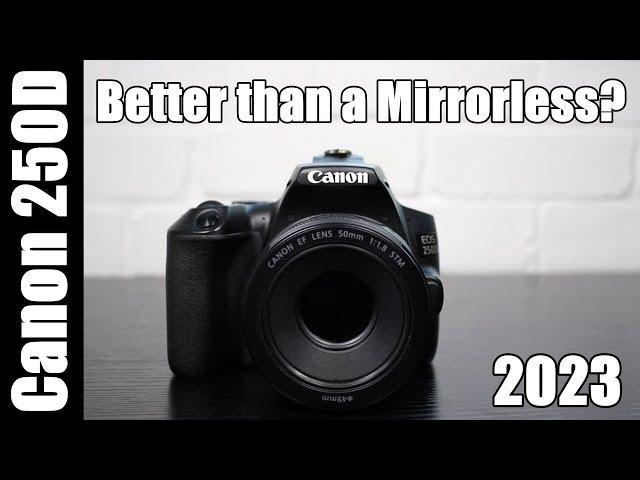 My 3 Year Review of the Canon 250D | Is it Better than a Mirrorless Camera?