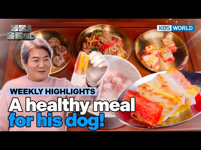 [Weekly Highlights] Jinsung's petcipe for his dog [Animals Are Incredible] | KBS WORLD TV 250305