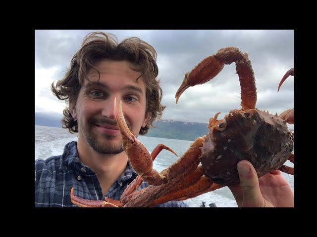 Tanner Crabs on Kodiak Island!