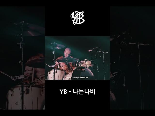 YB - 나는나비  (2019 Twilight State Concert)