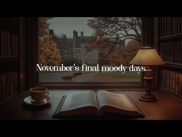 November's final moody days ️ Romanticize reading with moody dark academia piano  autumn playlist