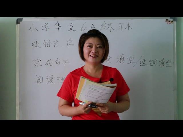 新加坡P6 练习本第一课讲解