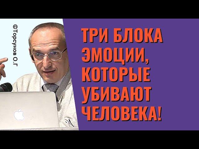 Три блока эмоции, которые убивают человека! Торсунов лекции