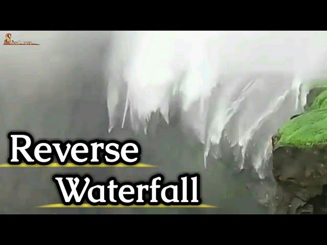 Amazing reverse waterfall Maharashtra, malshej ghat, anjaneri, sandhan valley, naneghat | shock wave