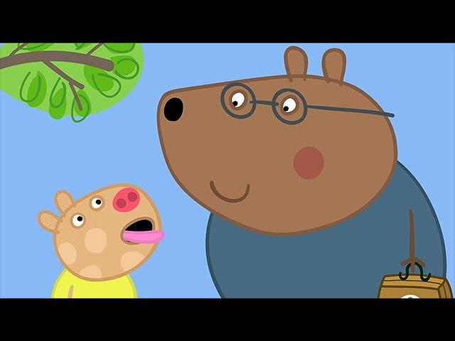 We Love Peppa Pig  Doctors #39