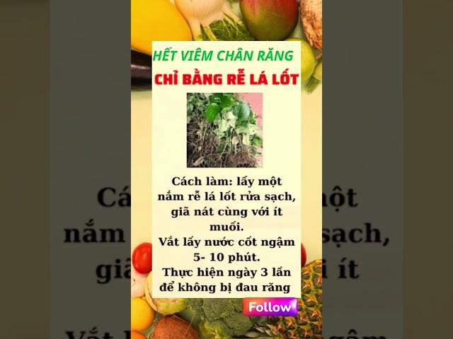 Bí Quyết Giữ Gìn Sức Khỏe Toàn Diện | Sức khỏe vàng #ChămSócSứcKhỏe #BảoVệSứcKhỏe #SốngKhỏeMỗiNgày