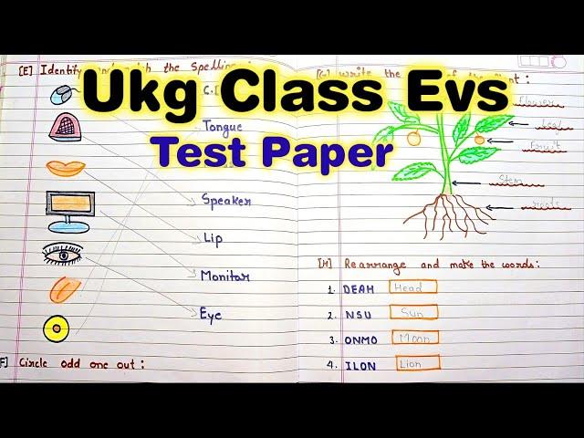 Ukg Evs Worksheet |Ukg Evs Question Paper|Ukg Evs Test Paper |UKg @PeehuandRudraCorner