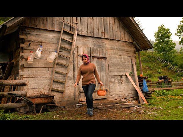 LIFE OF A LONELY UKRAINIAN WOMAN IN THE MOUNTAINS! ORIGINAL PASTA RECIPE