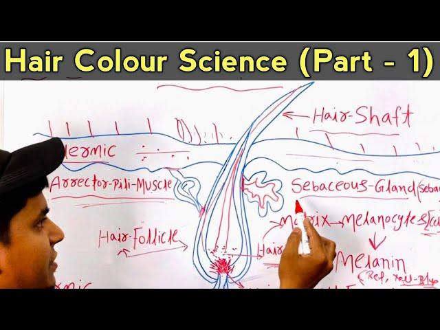 Hair Colour Science (Part - 1) Hair Shaft and Hair Roots/Melanin Hair Pigments full Details in Hindi