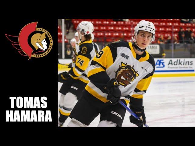 NHL Prospects : Tomas Hamara - 23-24 Highlights