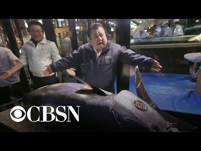 Bluefin tuna sells for a record $3.1M in Tokyo auction