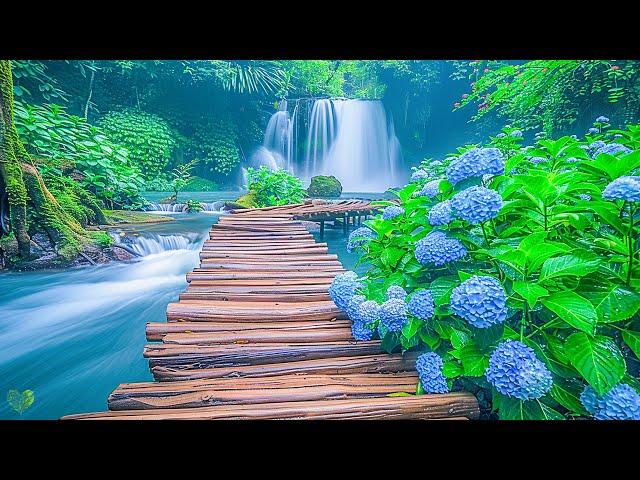 Healing Harmony: Music for the Heart and Blood Vessels  Relaxing music for stress relief #34