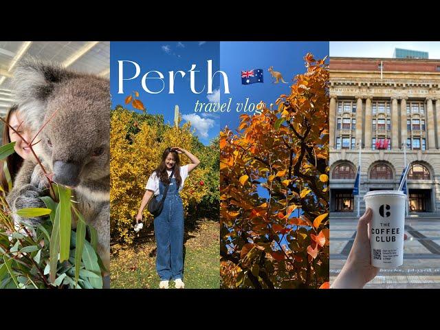 PERTH TRAVEL VLOG   7 days in Perth Australia, things to do, popular attractions ️